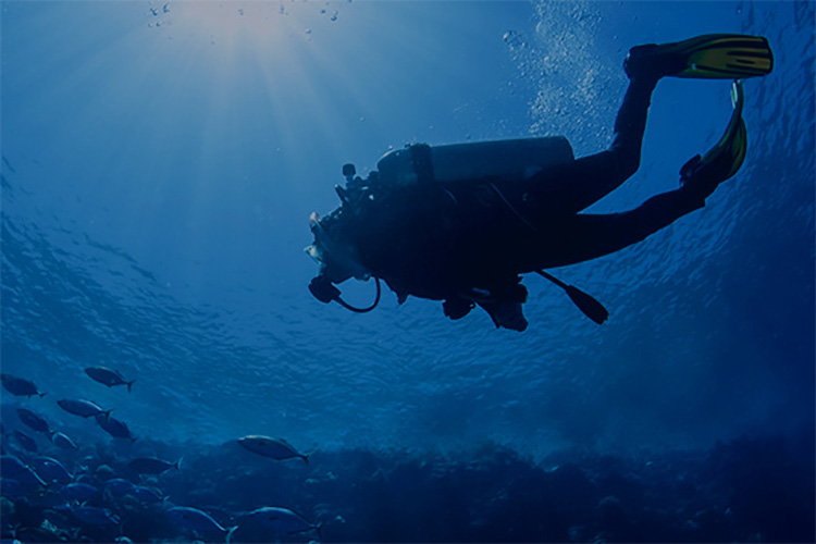 RECREATIONAL DIVERS