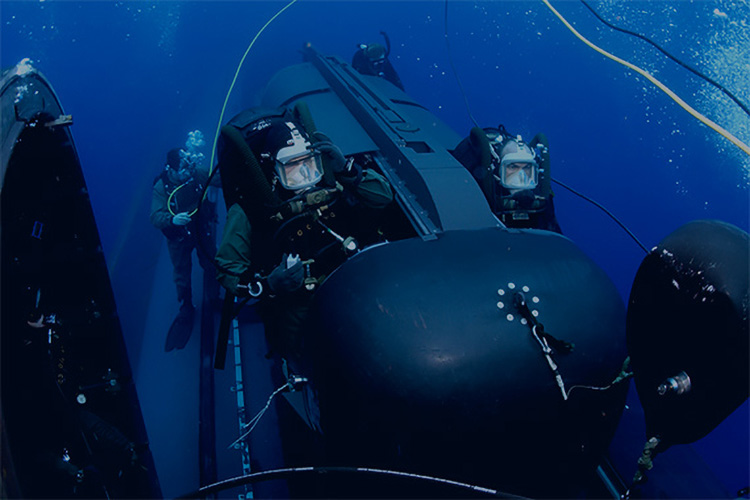 PROFESSIONAL DIVERS